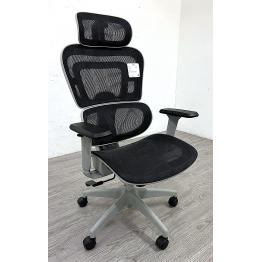 Ergonomic Chair (Display Item)